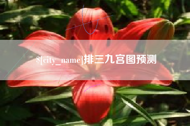江阴排三九宫图预测