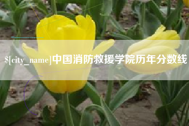 江阴中国消防救援学院历年分数线