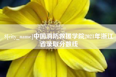 江阴中国消防救援学院2021年浙江省录取分数线