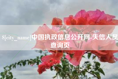 江阴中国执政信息公开网-失信人员查询页