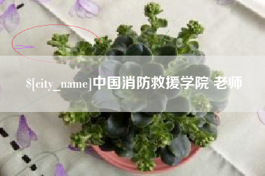 江阴中国消防救援学院 老师
