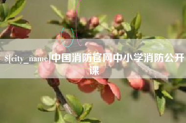 江阴中国消防官网中小学消防公开课