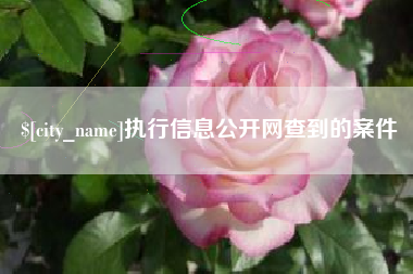 江阴执行信息公开网查到的案件