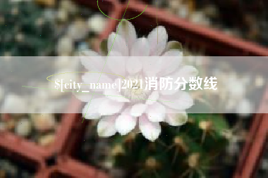 江阴2021消防分数线