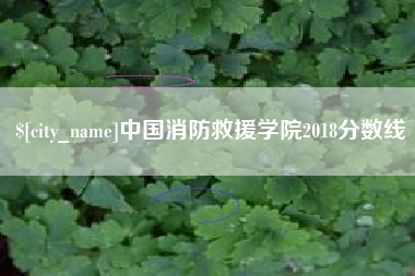 江阴中国消防救援学院2018分数线