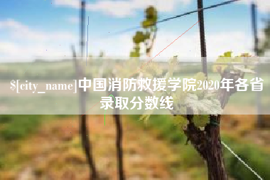 江阴中国消防救援学院2020年各省录取分数线
