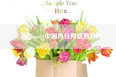 江阴中国执行网信息官网
