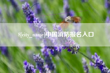 江阴中国消防报名入口