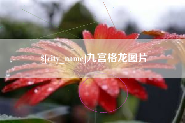 江阴九宫格龙图片