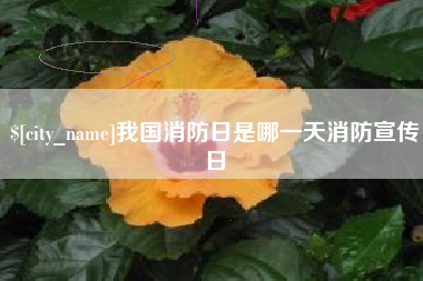 江阴我国消防日是哪一天消防宣传日