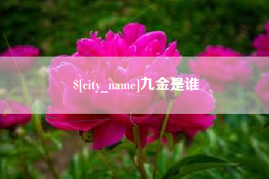 江阴九金是谁
