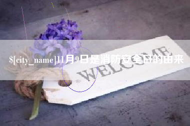 江阴11月9日是消防安全日的由来