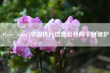 江阴中国执行信息公开网平台维护