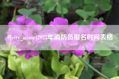 江阴2025年消防员报名时间表格