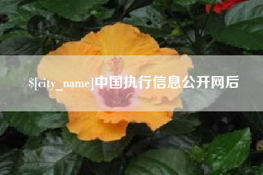 江阴中国执行信息公开网后