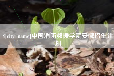 江阴中国消防救援学院安徽招生计划
