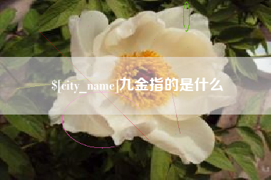 江阴九金指的是什么