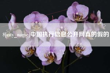 江阴中国执行信息公开网真的假的