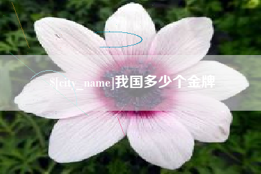 江阴我国多少个金牌