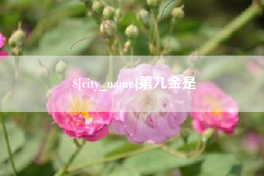 江阴第九金是