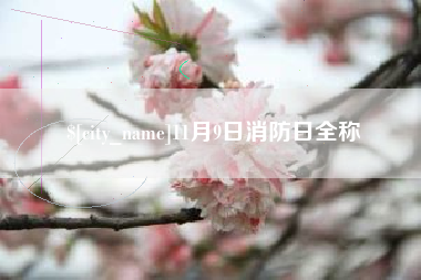 江阴11月9日消防日全称