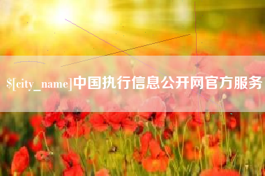 江阴中国执行信息公开网官方服务