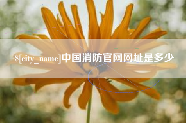 江阴中国消防官网网址是多少