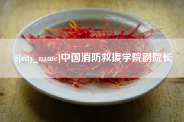 江阴中国消防救援学院副院长