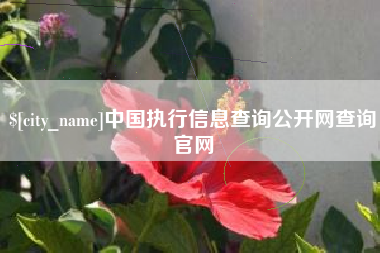 江阴中国执行信息查询公开网查询官网