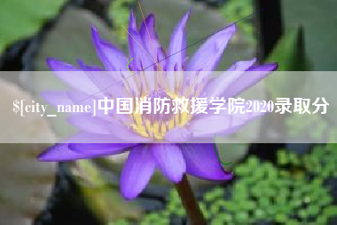 江阴中国消防救援学院2020录取分