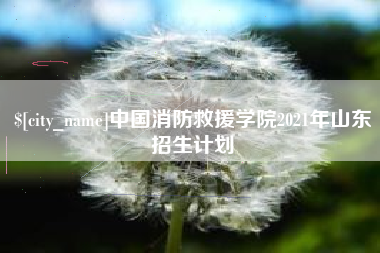 江阴中国消防救援学院2021年山东招生计划