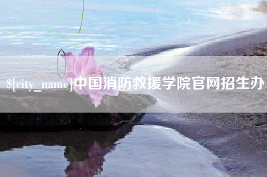 江阴中国消防救援学院官网招生办