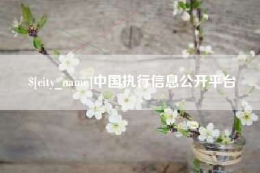 江阴中国执行信息公开平台