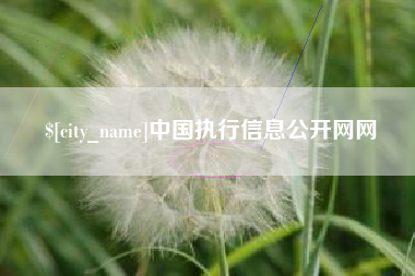 江阴中国执行信息公开网网