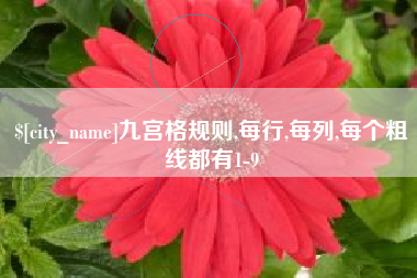 江阴九宫格规则,每行,每列,每个粗线都有1-9
