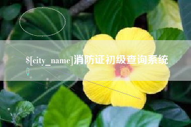江阴消防证初级查询系统
