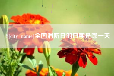 江阴全国消防日的日期是哪一天