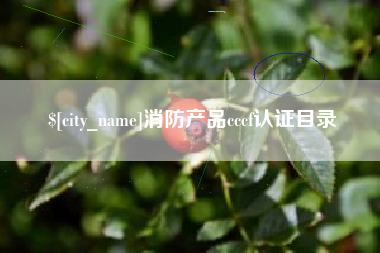 江阴消防产品cccf认证目录