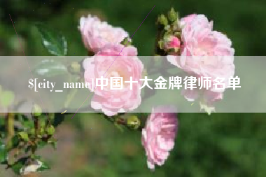 江阴中国十大金牌律师名单