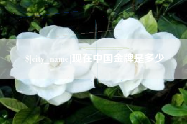 江阴现在中国金牌是多少