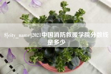 江阴2021中国消防救援学院分数线是多少