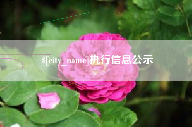 江阴执行信息公示