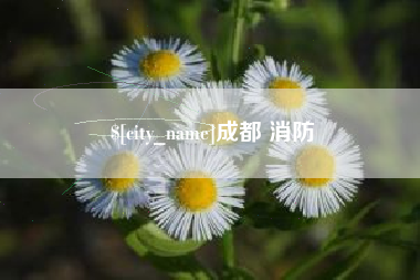 江阴成都 消防