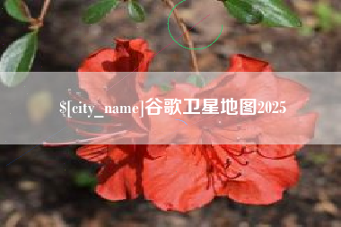 江阴谷歌卫星地图2025