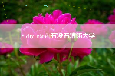 江阴有没有消防大学