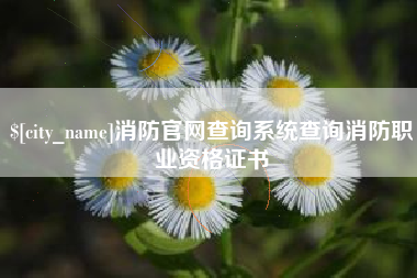 江阴消防官网查询系统查询消防职业资格证书