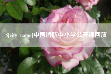 江阴中国消防中小学公开课回放