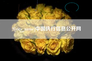 江阴中国执行信息公开网