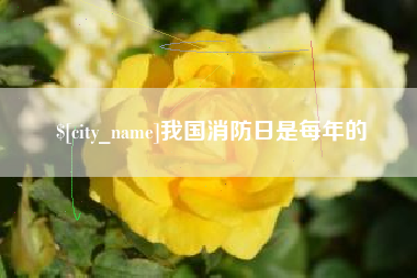 江阴我国消防日是每年的