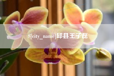江阴邱县王子磊
